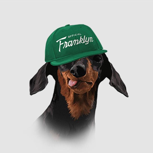 Franklyn logo